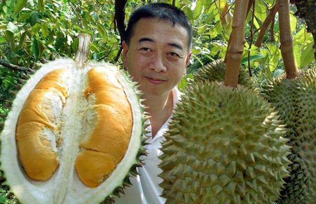 Durian Plantations Kmapot 1